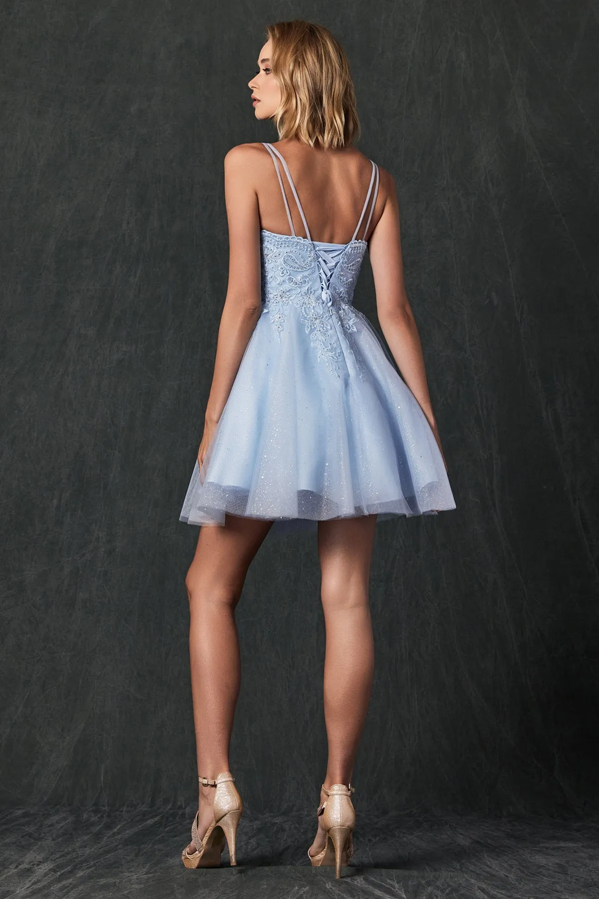 Babydoll Glitter Embroidered Lace Short Homecoming Dress