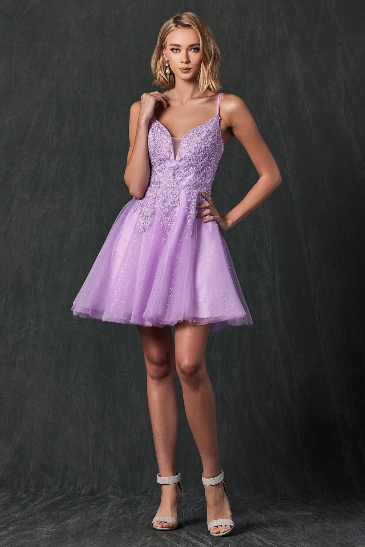 Babydoll Glitter Embroidered Lace Short Homecoming Dress