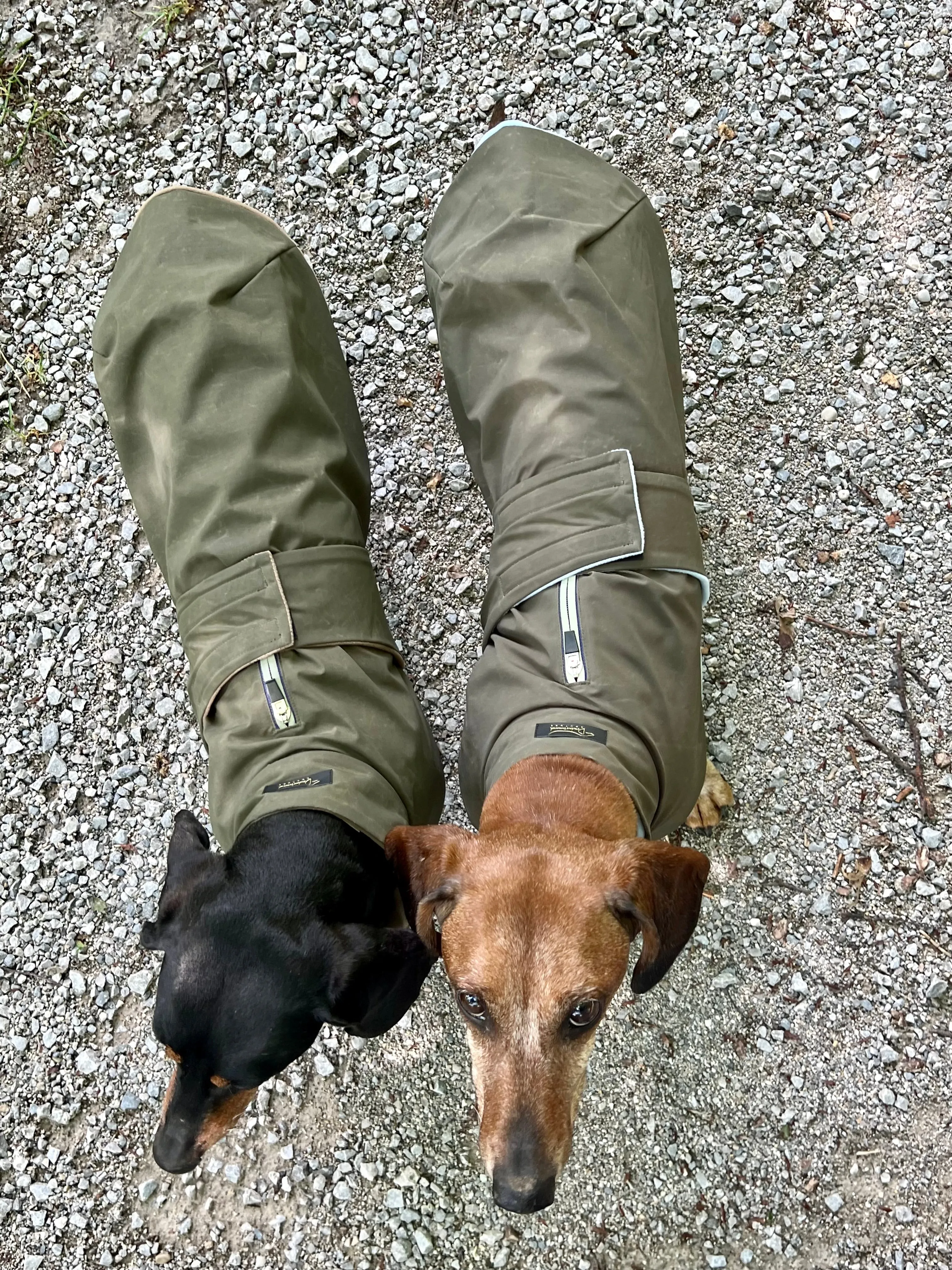 Green Parka Giacometti with MAROON fleece lining