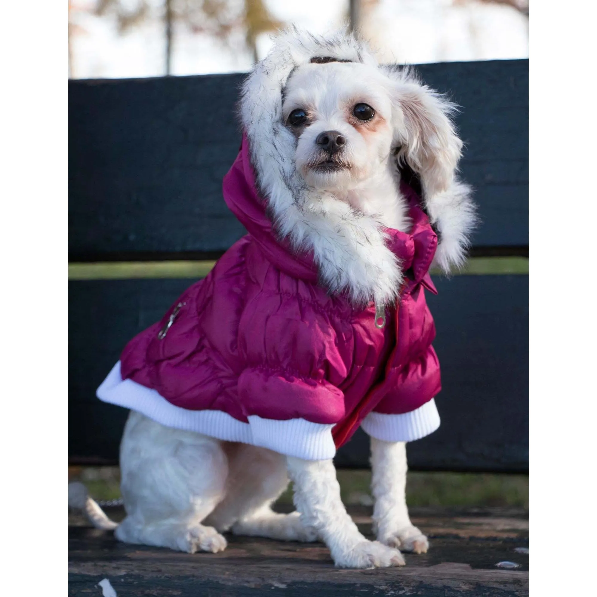 Metallic Pet Parka Coat Fashion