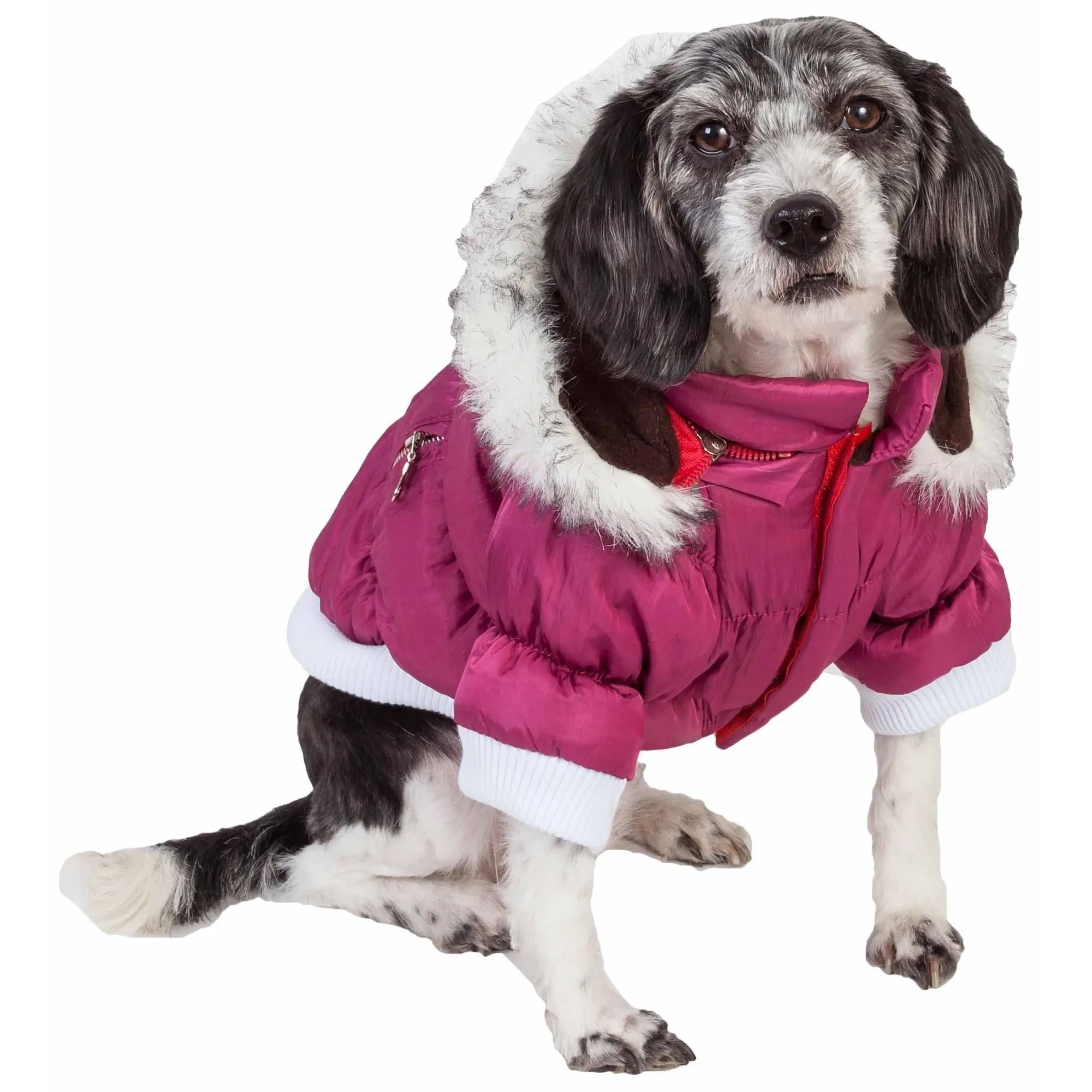 Metallic Pet Parka Coat Fashion